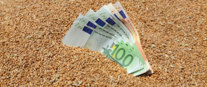 Will the eurozone reap what it has sown? Will the eurozone reap what it has sown?