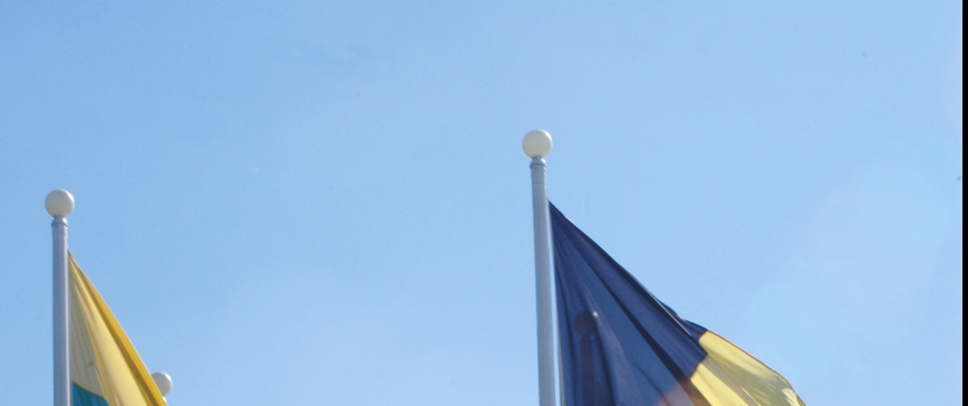 There is life beyond a European constitution There is life beyond a European constitution