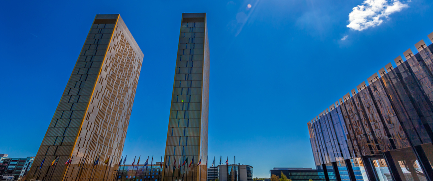Twelve things everyone should know about the European Court of Justice Twelve things everyone should know about the European Court of Justice