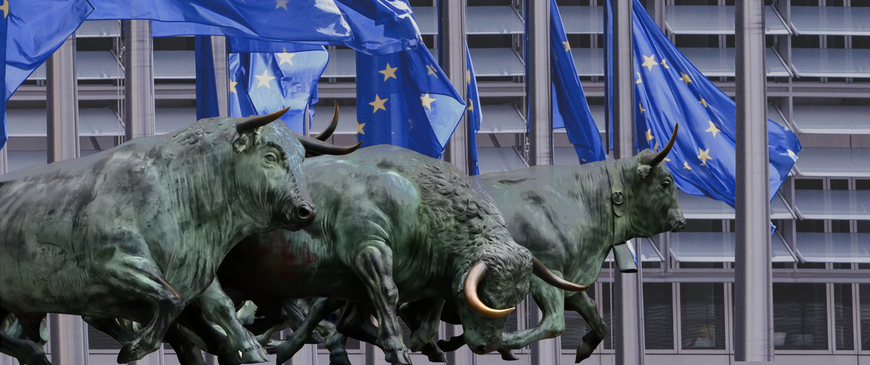 Parliamentarians in Brexit talks: Bulls in a china shop?