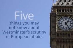 Video on: Westminster's scrutiny of European affairs