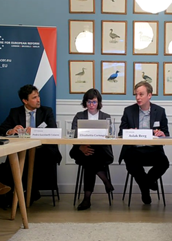 Launch of 'Learning from CBAM's transitional phase: Early impacts on trade and climate efforts' 