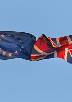 Webinar on 'What kind of EU-UK relationship, post-Brexit?' with João Vale de Almeida, EU Ambassador to the UK