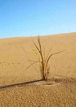 Breakfast meeting on &#039;The impact of the economic crisis on the EU&#039;s climate policies&#039; event thumbnail