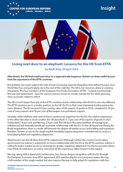 Living next door to an elephant: Lessons for the UK from EFTA