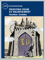 Profiting from EU enlargement