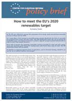 How to meet the EU's 2020 renewables target