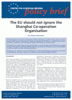 The EU should not ignore the Shanghai Co-operation Organisation