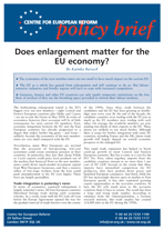 Does enlargement matter for the EU economy?